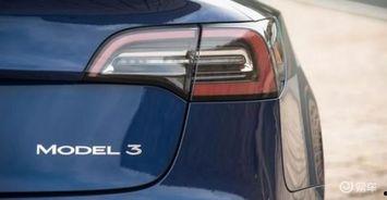 国产免,免生成技术引领未来创新浪潮